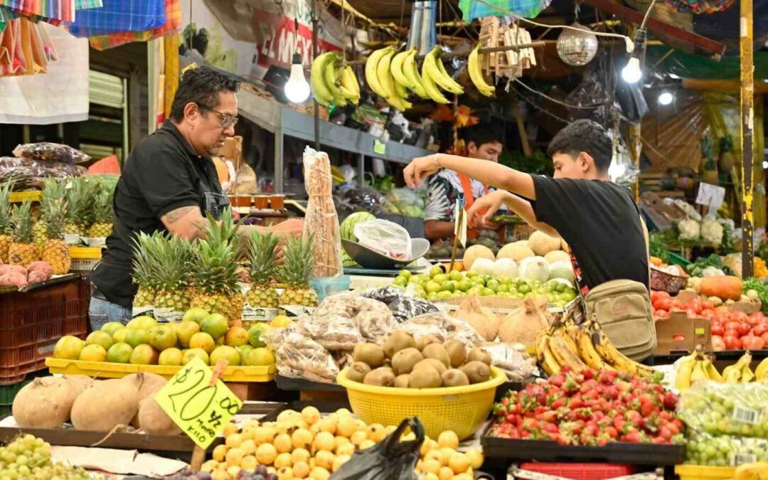 INGRESOS DE EMPRESAS MINORISTAS CRECEN EN SLP; MAYOREO REPORTA RETROCESO