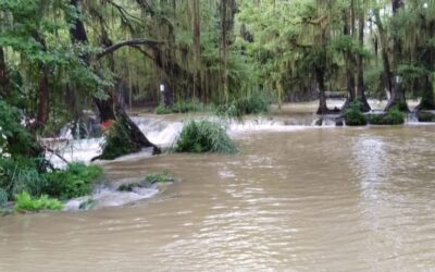 PRONOSTICAN LLUVIAS INTENSAS EN LA HUASTECA Y PRECIPITACIONES EN OTRAS REGIONES DEL ESTADO