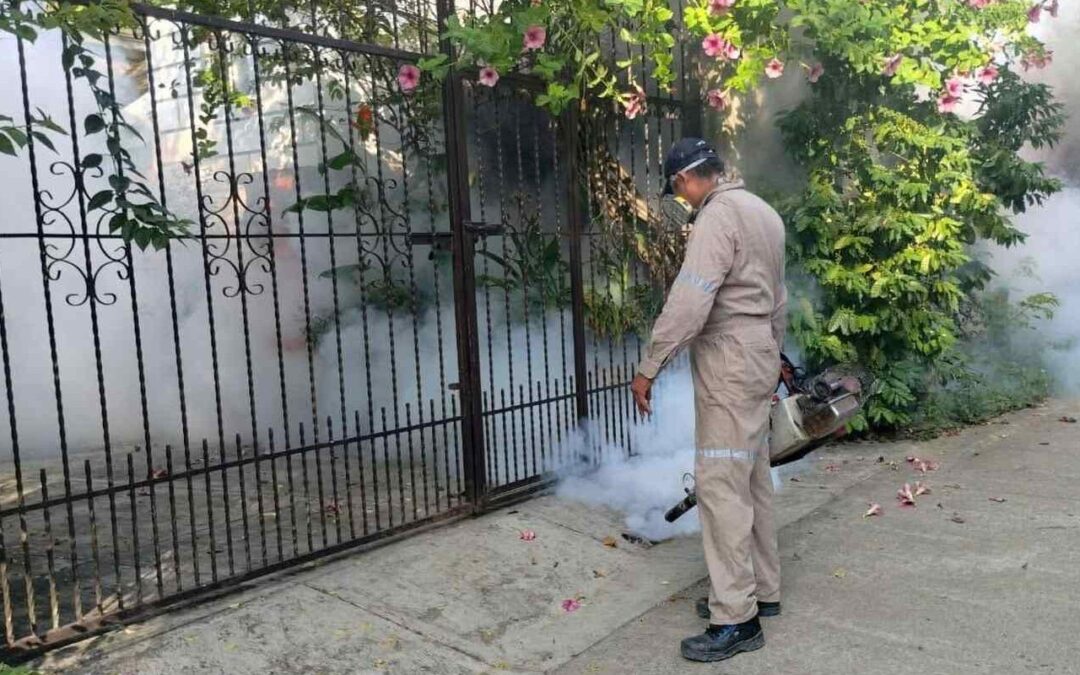 CAEN CASOS DE DENGUE 69.7 POR CIENTO EN SAN LUIS POTOSÍ