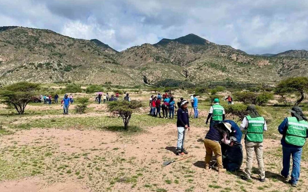 PRESENTAN PLAN DE REFORESTACIÓN EN LA SIERRA DE SAN MIGUELITO