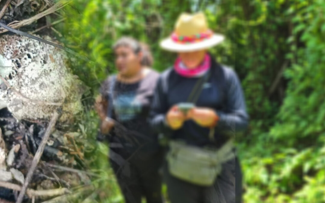 HALLAN NUEVA ZONA DE EXTERMINIO EN VALLES; DENUNCIAN ABANDONO DEL ESTADO