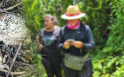 HALLAN NUEVA ZONA DE EXTERMINIO EN VALLES; DENUNCIAN ABANDONO DEL ESTADO