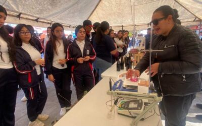 IMPULSAN INVESTIGACIÓN AGROPECUARIA Y TECNOLÓGICA EN EL ALTIPLANO