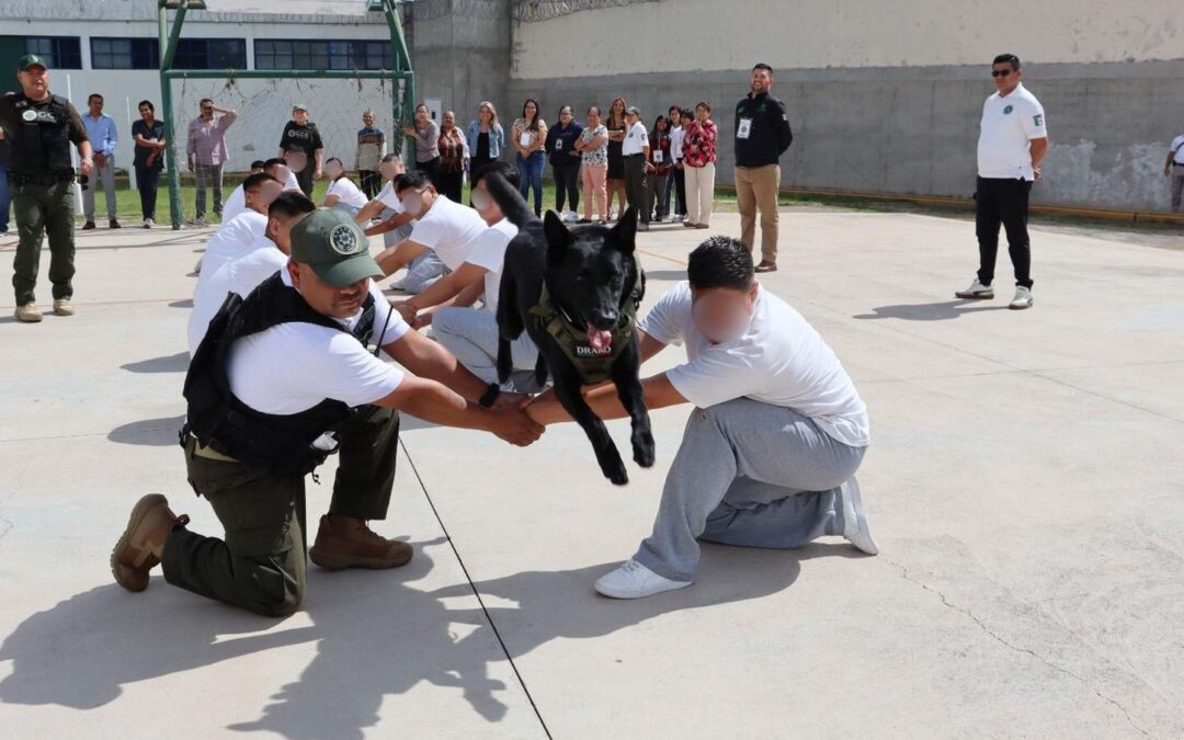 IMPARTEN TALLER DE PREVENCIÓN DEL MALTRATO ANIMAL A JÓVENES EN CENTRO DE INTERNAMIENTO