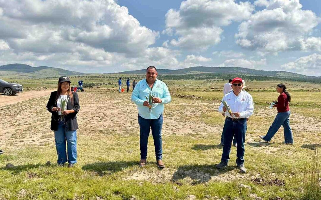SUPERVISAN PROYECTO DE ABASTECIMIENTO DE AGUA Y REFORESTACIÓN EN CERRO DE SAN PEDRO