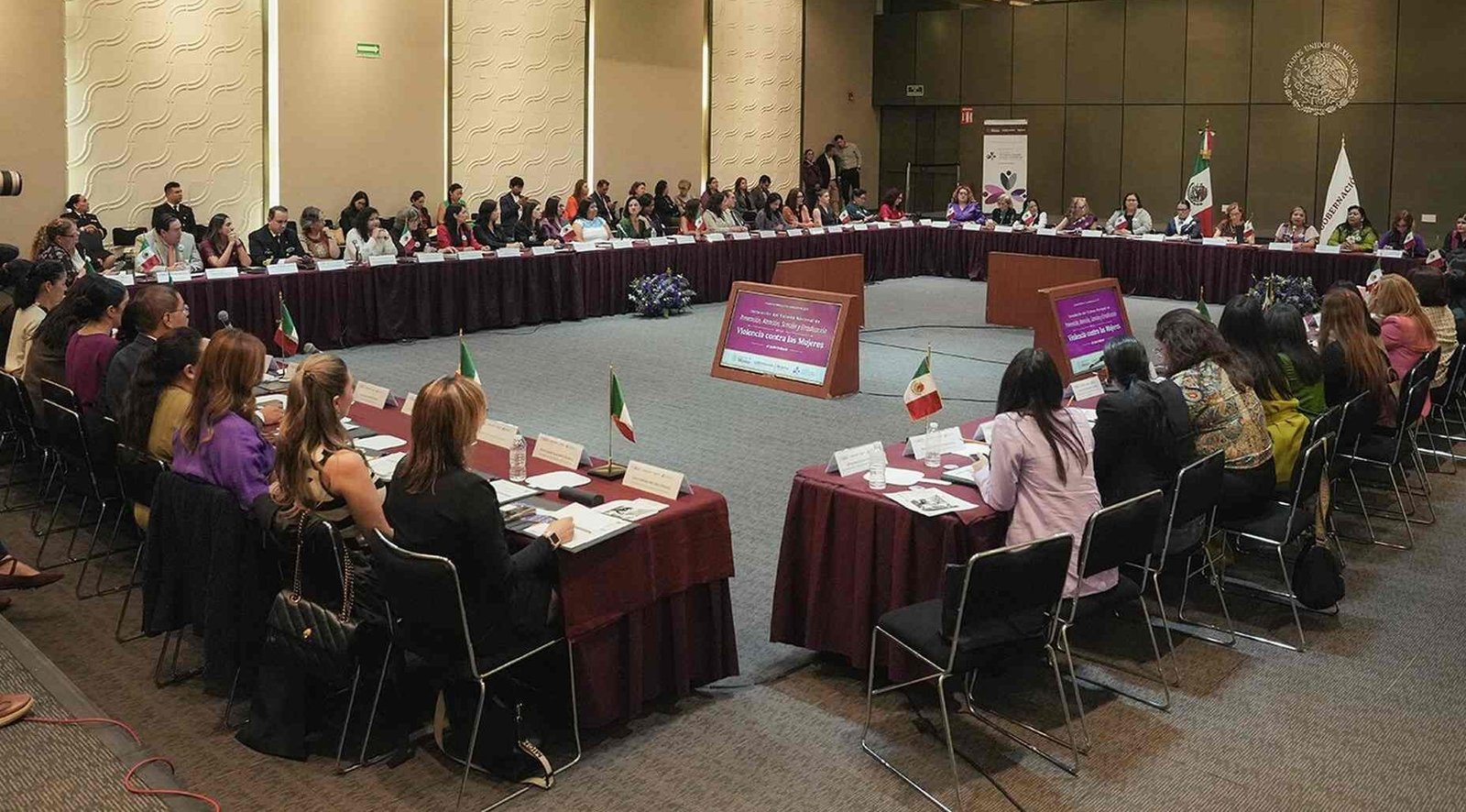 PARTICIPA SAN LUIS POTOSÍ EN SESIÓN NACIONAL CONTRA LA VIOLENCIA HACIA LAS MUJERES