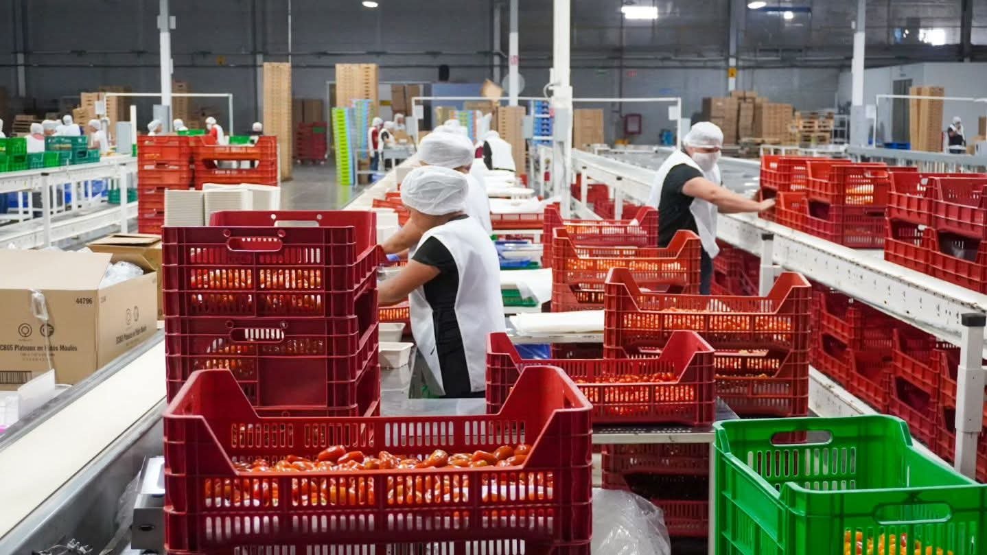 REALIZAN SEMINARIO PARA FORTALECER A PYMES EN SLP