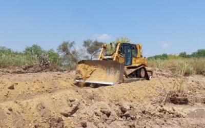 DESTINAN 600 MDP A PROGRAMAS PARA IMPULSAR LA GANADERÍA, AGRICULTURA Y REFORESTACIÓN EN SLP