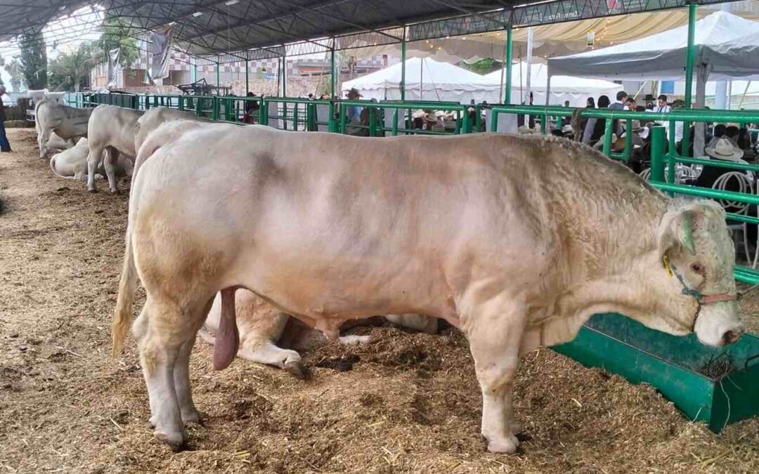 MANTIENEN CONTROL SANITARIO EN EL CAMPO POTOSINO