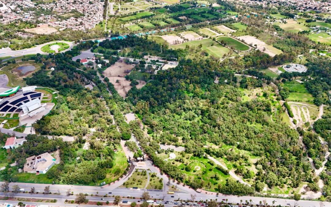 PARQUE TANGAMANGA II CELEBRA 40 AÑOS CON RENOVACIONES Y NUEVAS ÁREAS DE RECREACIÓN