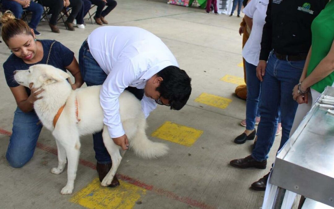 INICIA SEGUNDA SEMANA NACIONAL DE VACUNACIÓN ANTIRRÁBICA CANINA Y FELINA