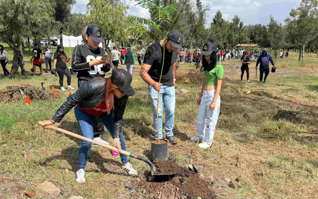 AVANZA JORNADA DE REFORESTACIÓN EN PARQUE TANGAMANGA I CON MÁS DE 400 ÁRBOLES