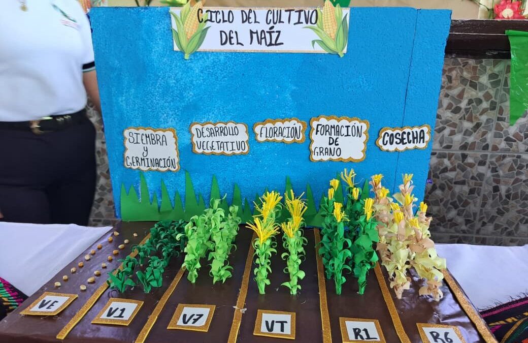 CONMEMORAN DÍA NACIONAL DEL MAÍZ EN ÉBANO CON EVENTO CULTURAL