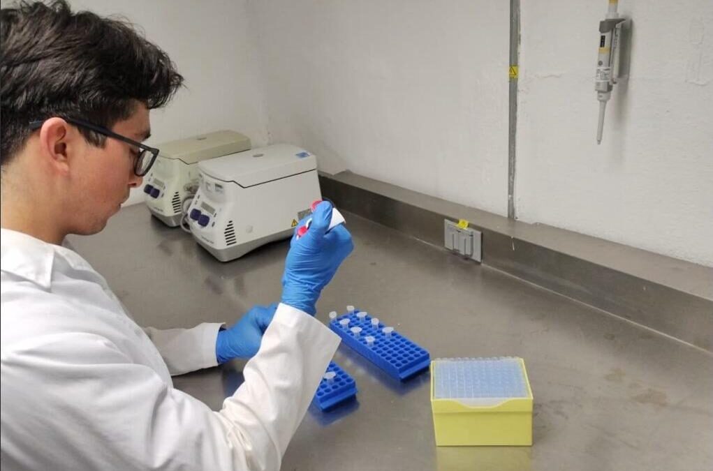 PROYECTO POTOSINO BUSCA MEJORAR TRATAMIENTOS PARA LA HIPERTENSIÓN