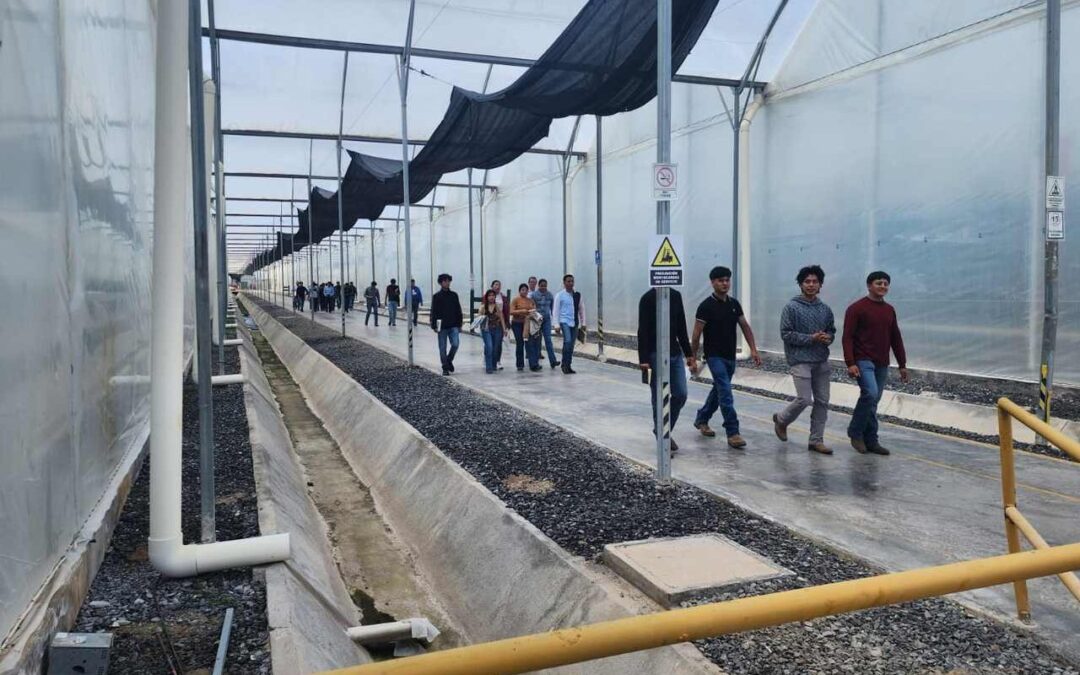 FORTALECEN FORMACIÓN DE ESTUDIANTES CON TALLERES DE AGRONEGOCIOS Y AGRICULTURA