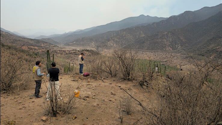 PROYECTO APROVECHA ESPECIES INVASORAS PARA MEJORAR CALIDAD DEL AGUA Y PRODUCCIÓN AGRÍCOLA