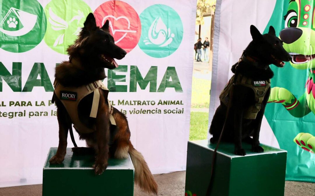 ESPECIALISTAS DESTACAN INICITIVAS DE SLP EN MATERIA DE CUIDADO Y BIENESTAR ANIMAL
