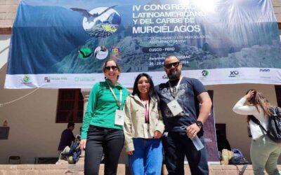 PROYECTO POTOSINO DESTACA EN CONGRESO LATINOAMERICANO DE MURCIÉLAGOS
