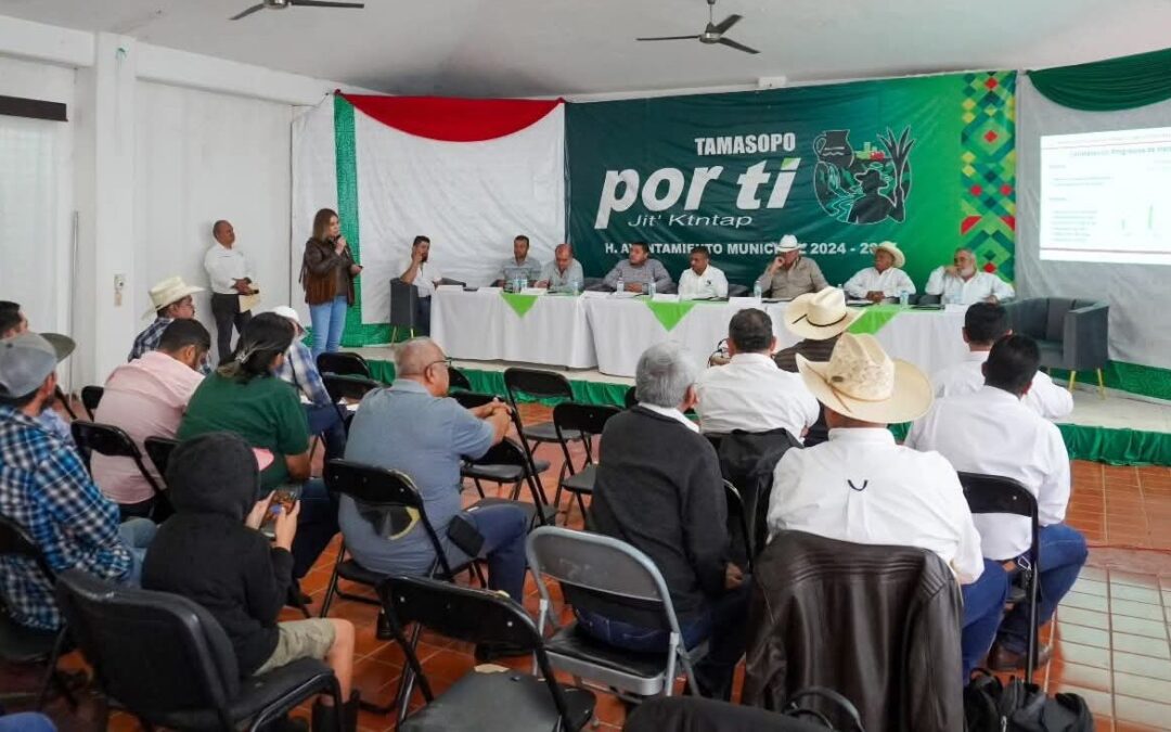 TAMASOPO Y EL NARANJO OBTIENEN CERTIFICACIÓN COMO ZONAS LIBRES DE TUBERCULOSIS BOVINA