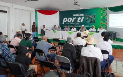 TAMASOPO Y EL NARANJO OBTIENEN CERTIFICACIÓN COMO ZONAS LIBRES DE TUBERCULOSIS BOVINA