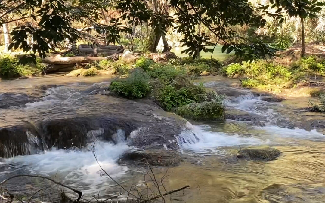 DESDE LA HUASTECA, EXIGEN DESPRIVATIZAR EL AGUA Y FRENAR MEGAPROYECTOS CON CAPITAL PRIVADO
