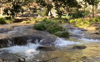 DESDE LA HUASTECA, EXIGEN DESPRIVATIZAR EL AGUA Y FRENAR MEGAPROYECTOS CON CAPITAL PRIVADO