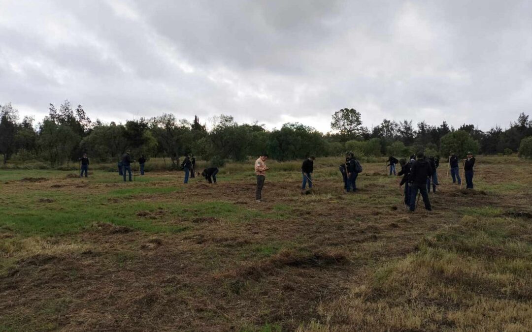 AVANZA PLAN DE RESTAURACIÓN Y REFORESTACIÓN DEL PARQUE TANGAMANGA I
