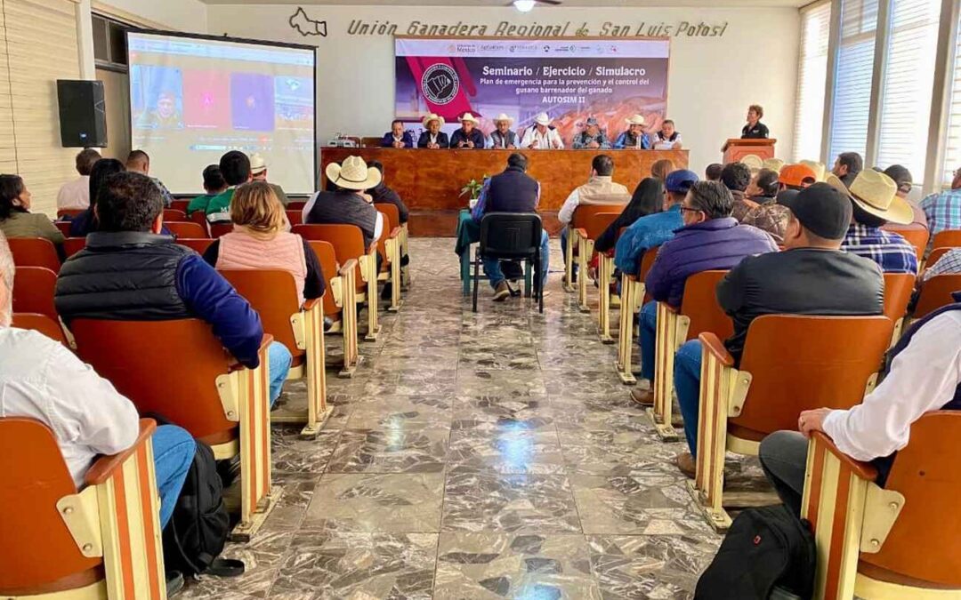 REALIZAN SIMULACRO ESTATAL DE EMERGENCIA ZOOSANITARIA CONTRA EL GUSANO BARRENADOR DEL GANADO