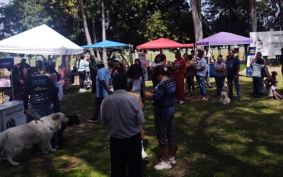 ANUNCIAN SEGUNDA EDICIÓN DE LA CAMPAÑA “SIN LÍMITES DE BIENESTAR PERRUNO”