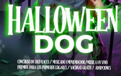 REALIZARÁN CONCURSO CANINO HALLOWEEN DOG EL 2 DE NOVIEMBRE