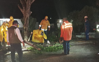 PROTECCIÓN CIVIL APOYA A PERSONAS EN SITUACIÓN DE CALLE Y ATIENDE CAÍDA DE ÁRBOLES EN CIUDAD VALLES