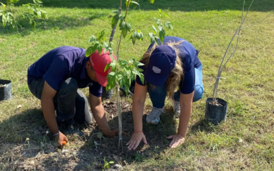 CIUDAD VALLES IMPULSA ACCIONES AMBIENTALES Y DE BIENESTAR ANIMAL EN 2025