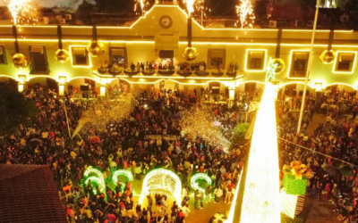 UN BRILLANTE ENCENDIDO DEL PINO MARCA EL INICIO DE LA TEMPORADA NAVIDEÑA