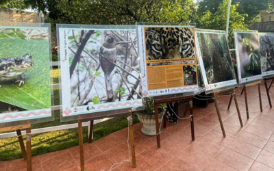 REALIZAN EL PRIMER FORO REGIONAL PARA PREVENIR EL MALTRATO ANIMAL