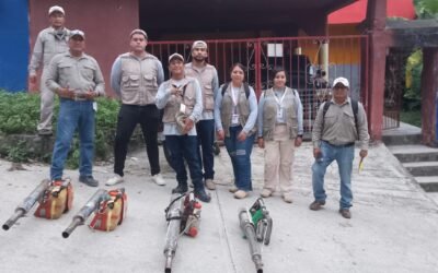BAJA CONTUNDENTE DEL DENGUE REFUERZA LA SALUD PÚBLICA EN EL ESTADO