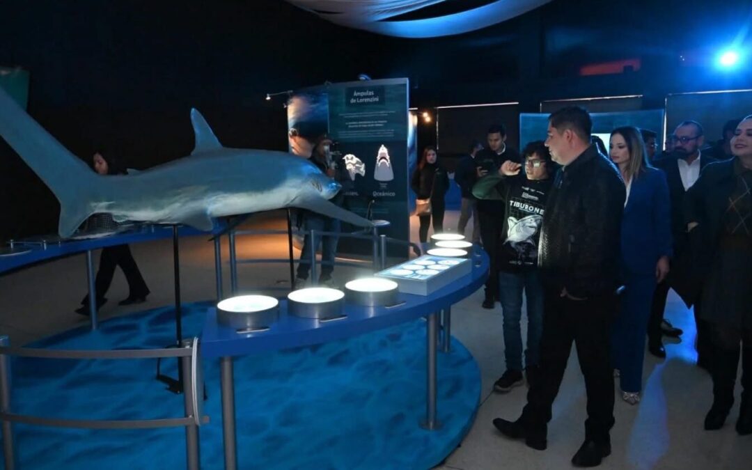 MÁS DE DOS MILLONES DE PERSONAS ACCEDIERON A ESPACIOS Y ACTIVIDADES CULTURALES DE FORMA GRATUITA EN SLP