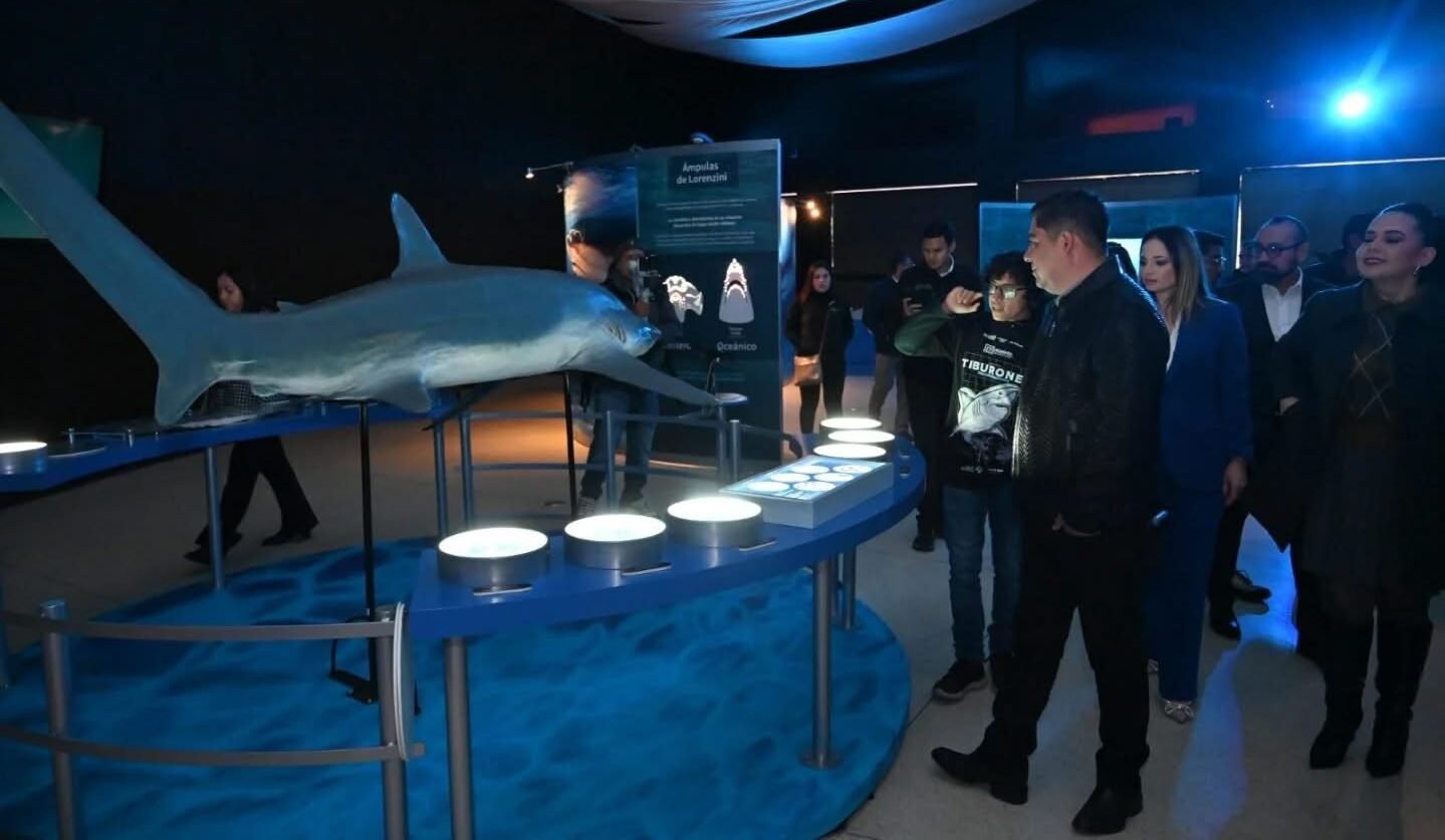 MÁS DE DOS MILLONES DE PERSONAS ACCEDIERON A ESPACIOS Y ACTIVIDADES CULTURALES DE FORMA GRATUITA EN SLP