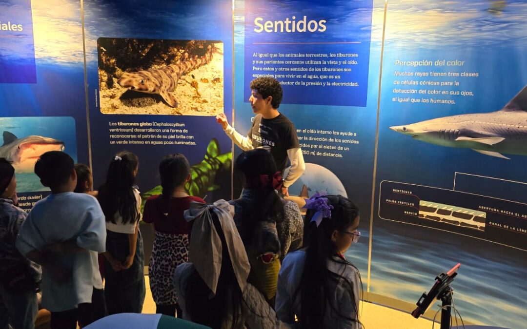 NIÑOS DE PUEBLOS ORIGINARIOS REALIZAN VISITA EDUCATIVA AL MUSEO DEL LABERINTO