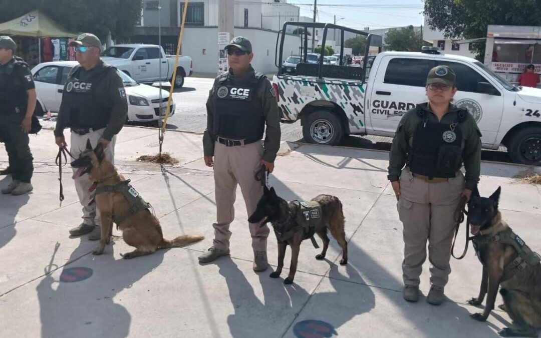 REDUCCIÓN DE 53% EN HOMICIDIO DOLOSO COLOCA A SLP ENTRE LAS DE MAYOR DISMINUCIÓN