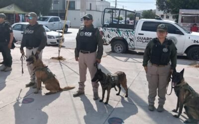 REDUCCIÓN DE 53% EN HOMICIDIO DOLOSO COLOCA A SLP ENTRE LAS DE MAYOR DISMINUCIÓN