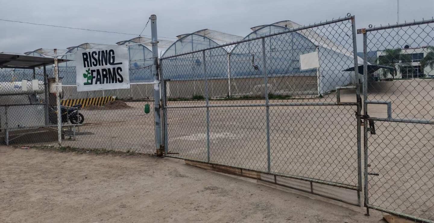 TRABAJADORES DE EMPRESA AGRÍCOLA EN RIOVERDE DENUNCIAN FALTA DE PAGO DE SALARIOS