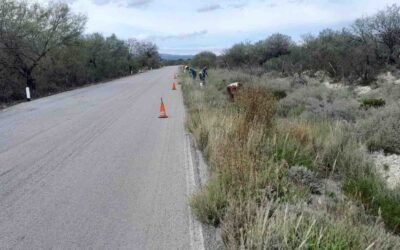 REALIZARÁN TRABAJOS DE CONSERVACIÓN EN TRAMO CARRETERO DE CEDRAL