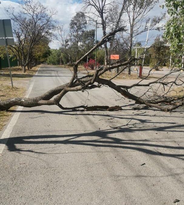 REABREN PARQUES TANGAMANGA I Y II TRAS CIERRE PREVENTIVO POR VIENTOS