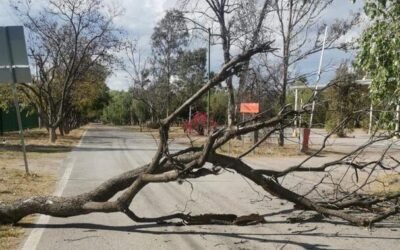 REABREN PARQUES TANGAMANGA I Y II TRAS CIERRE PREVENTIVO POR VIENTOS