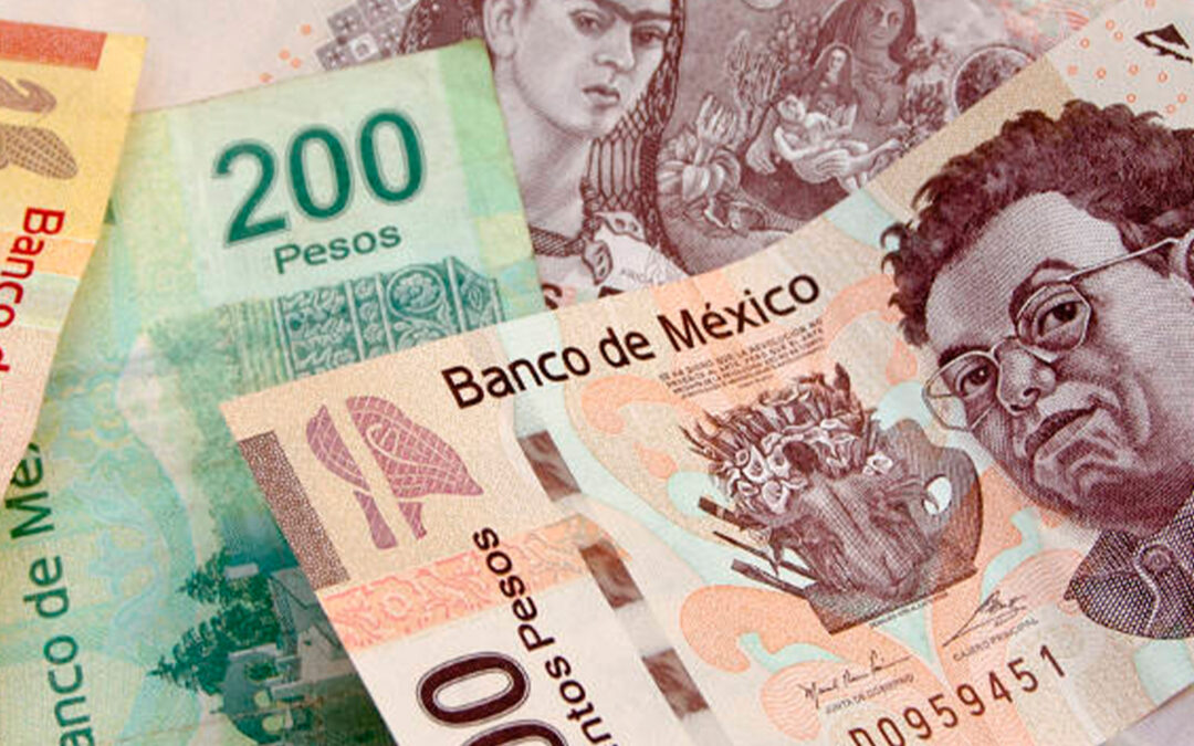 ORGANISMOS AUTÓNOMOS PAGAN MILLONES; MUNICIPIOS, POR DEBAJO DEL MÍNIMO