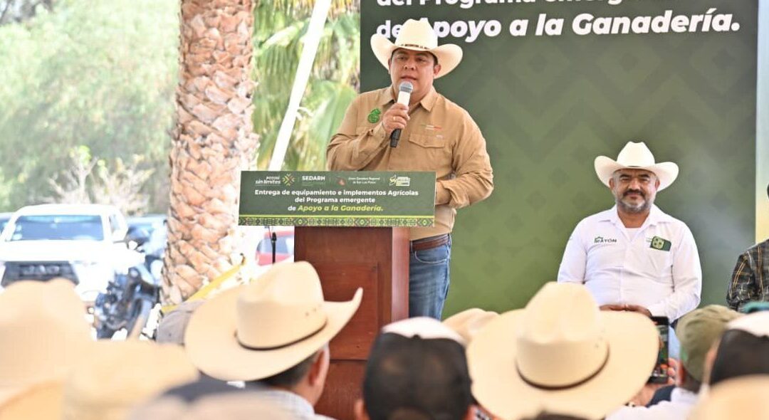 MANTIENE ESTADO VIGILANCIA SANITARIA PARA CONTENER GUSANO BARRENADOR