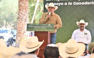 MANTIENE ESTADO VIGILANCIA SANITARIA PARA CONTENER GUSANO BARRENADOR