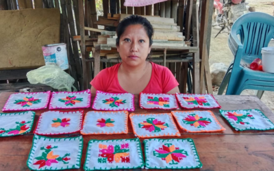 CIUDAD VALLES BRILLA A NIVEL MUNDIAL CON EL BORDADO TÉNEK EN RÉCORD GUINNESS