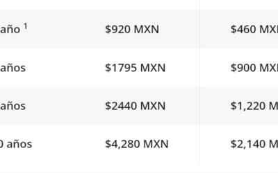 ANUNCIAN NUEVOS PRECIOS DEL PASAPORTE PARA  CIUDAD VALLES EN 2026