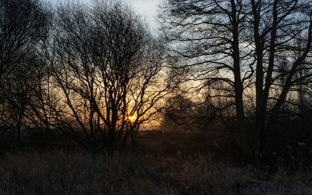 PREVÉN BAJAS TEMPERATURAS POR FRENTE FRÍO 27 EN ZONAS ALTAS DEL ALTIPLANO